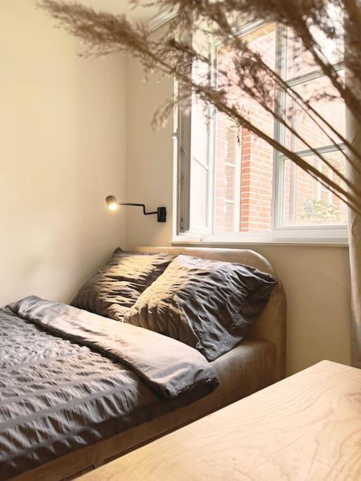 Natural Apartment In The City Center - Old Town Wroclaw Dış mekan fotoğraf