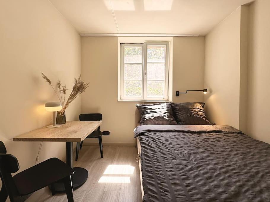 Natural Apartment In The City Center - Old Town Wroclaw Dış mekan fotoğraf